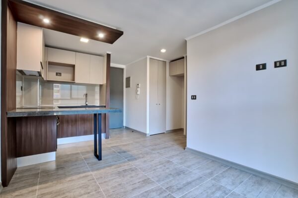 Tipo Estudio | Lira 254 lira 318 11